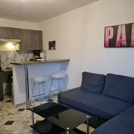 Apartamento Central Et Au Calme Nice
